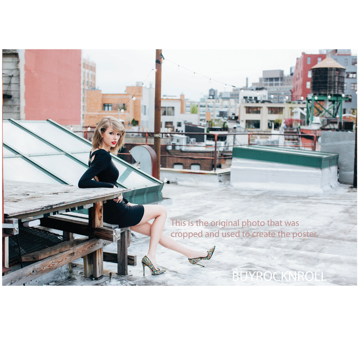 Taylor Swift Store 2013 Merchandise: Rooftop 1989 Tour 17"x26" Poster