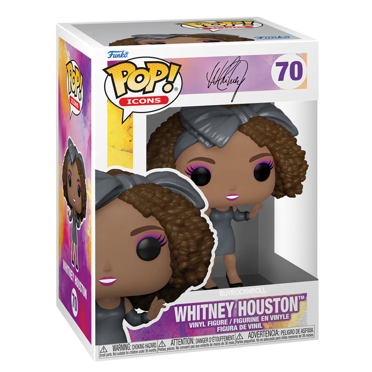 Whitney Houston Collectible 2022 Handpicked Funko Pop Icons How Will I Know Figure #70 in a Protector