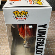 Yungblud Collectible 2021 Handpicked Funko Pop! Rocks Figure #225 in Protector