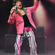 New Rolling Stones 2026 NECA Mick Jagger (1975) 8