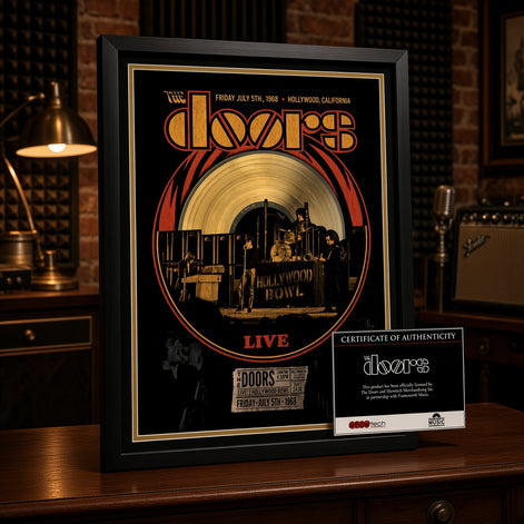 Rare Jim Morrison The Doors Collectible Framed Live at Hollywood Bowl Concert Collage 24x30