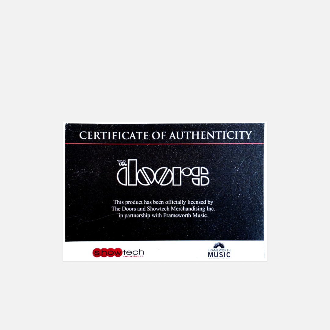 Rare Jim Morrison Doors Collectible Framed Waiting For the Sun Platinum Album Award