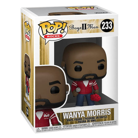 IN STOCK! Boyz to Men Collectible 2021 Funko Pop Rocks 3 Figure Set in Funko Foldable Protectors