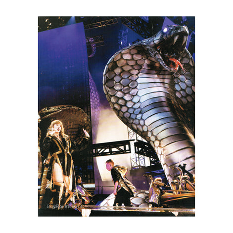 Taylor Swift Store 2018 Merchandise: Official Reputation Concert Stadium Collectible Tour Book