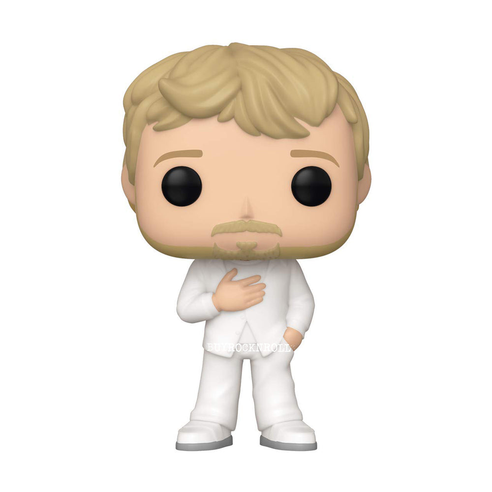 The Backstreet Boys Collectible 2019 Handpicked 2020 Funko Pop! Rocks Set of 5 Figures in Protectors