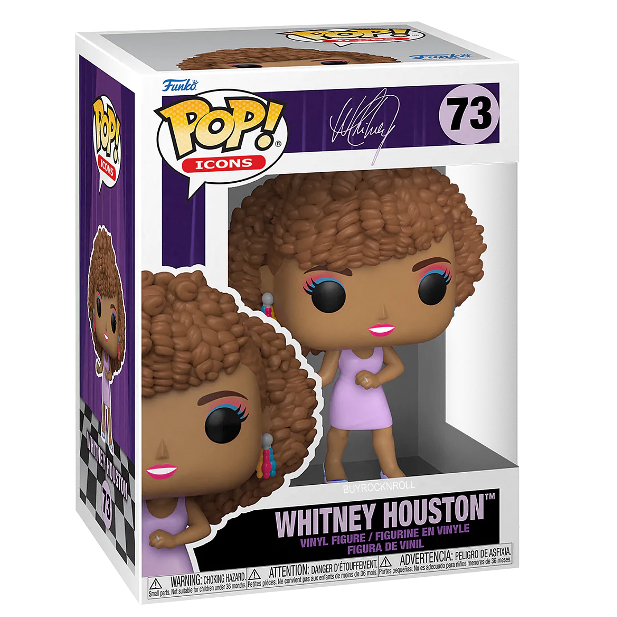 Whitney Houston Collectible 2022 Handpicked Funko Pop Icons IWDWS Figure #73 in a Protector