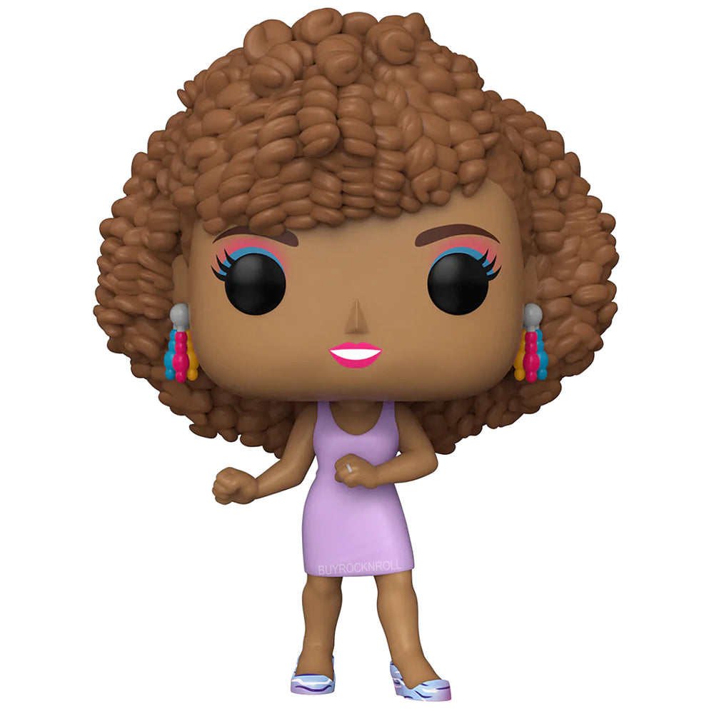 Whitney Houston Collectible 2022 Handpicked Funko Pop Icons IWDWS Figure #73 in a Protector
