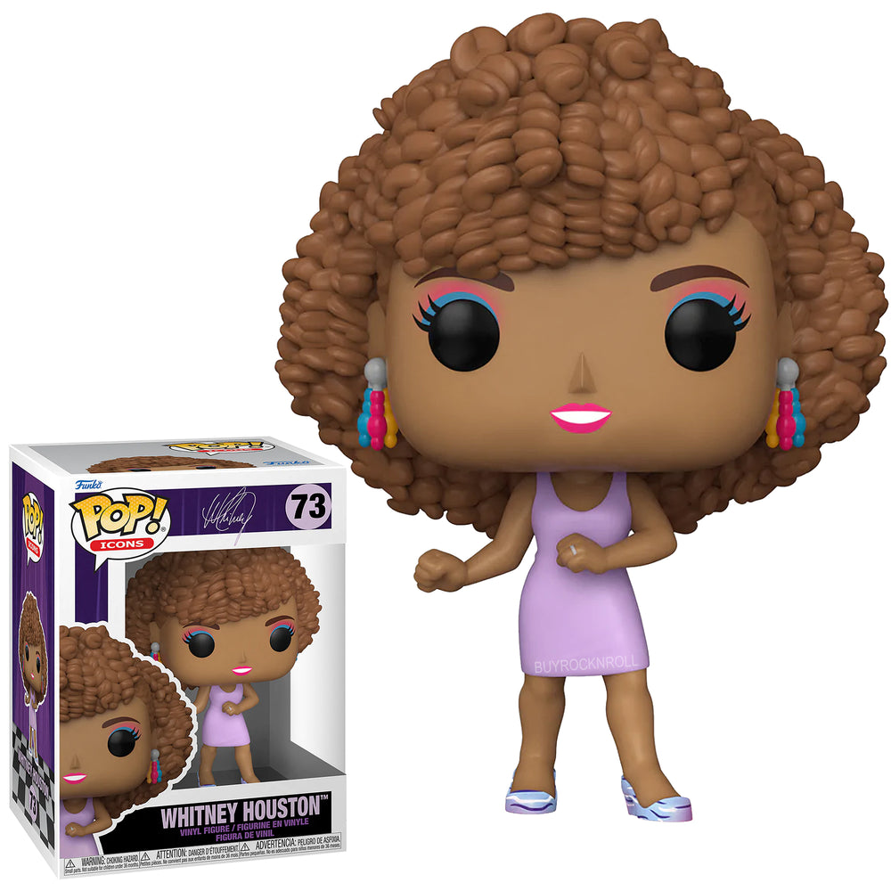 Whitney Houston Collectible 2022 Handpicked Funko Pop Icons IWDWS Figure #73 in a Protector