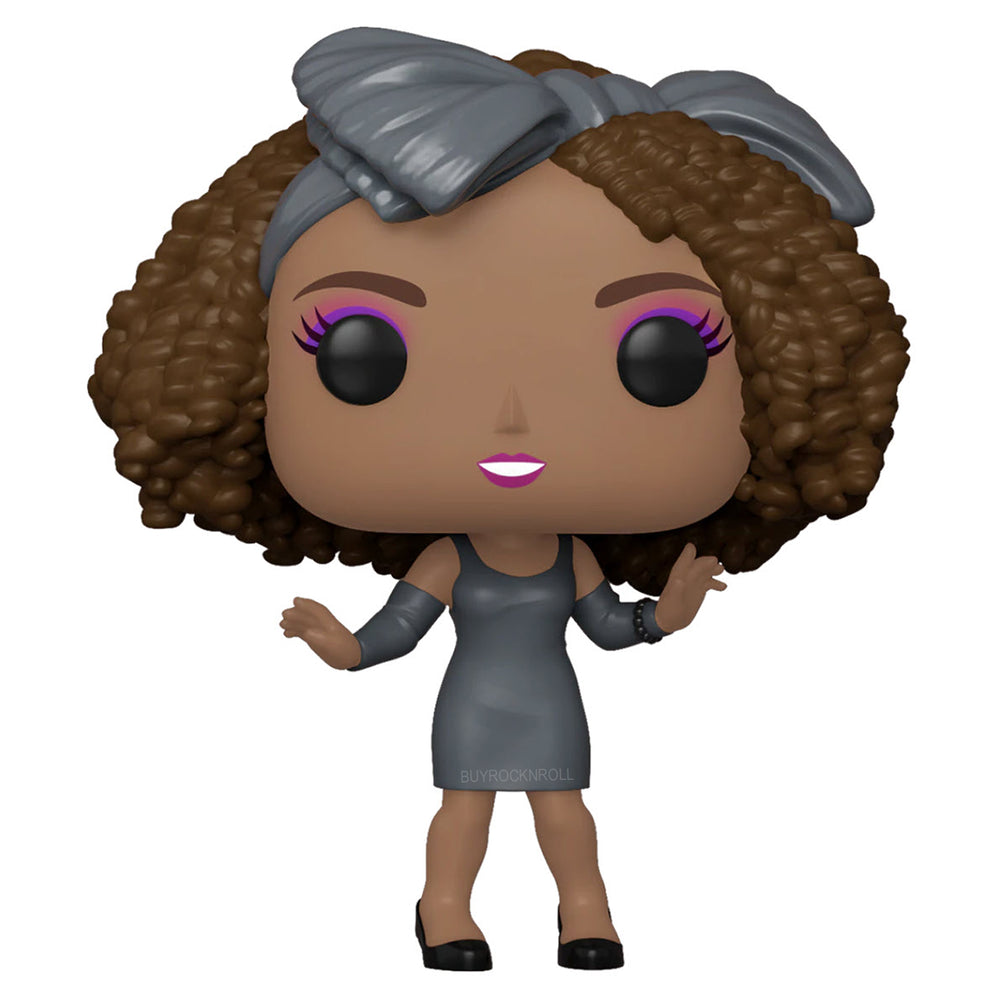 Whitney Houston Collectible 2022 Handpicked Funko Pop Icons How Will I Know Figure #70 in a Protector