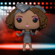 Whitney Houston Collectible 2022 Handpicked Funko Pop Icons How Will I Know Figure #70 in a Protector