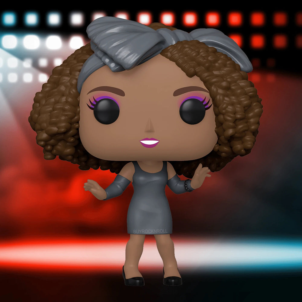 Whitney Houston Collectible 2022 Handpicked Funko Pop Icons How Will I Know Figure #70 in a Protector